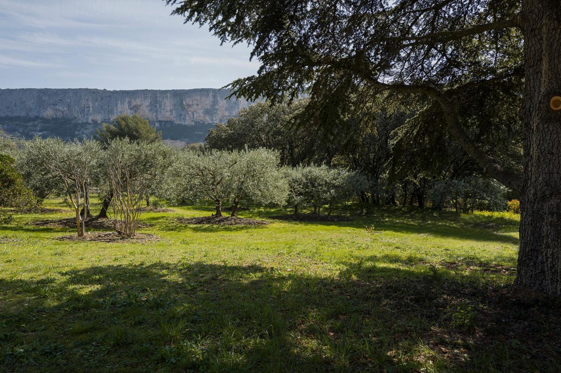 Les Cistes Lioux Exterior foto